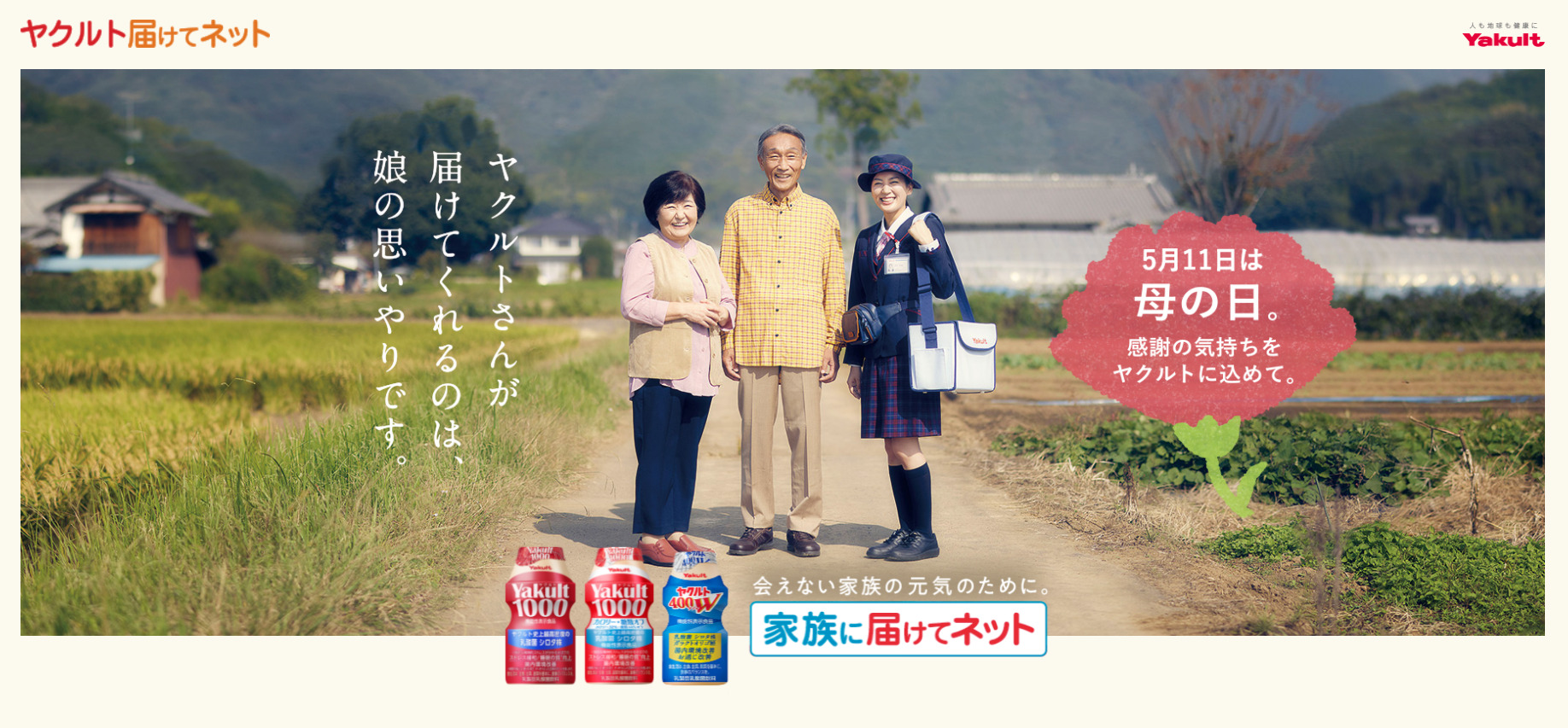 静岡県,静岡市,清水区,興津,由比,蒲原,富士市,富士宮市,沼津市,相続,遺産,遺言書,見守り,身元保証,事務委任契約,任意後見契約,死後事務委任契約,終活,老後,相談,身寄りのない高齢者,サポート,ころばぬ相続